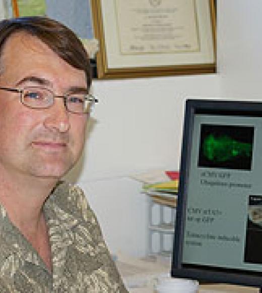David Furlow
